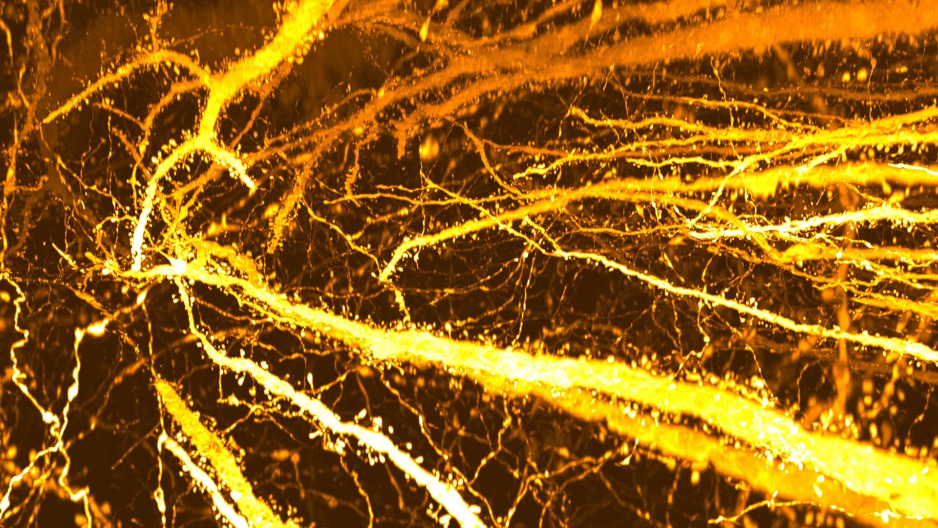 Cientistas encontram pontos de conexão sináptica escondidos no cérebro adolescente.